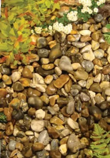 Image of Kelkay Oyster Pearl Pebbles - Bulk Bag