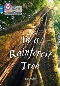 Image of In a Rainforest Tree by Liz Miles