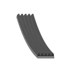Image of Auxiliary Belt - Multi-Rib AD05R1120 by Blue Print