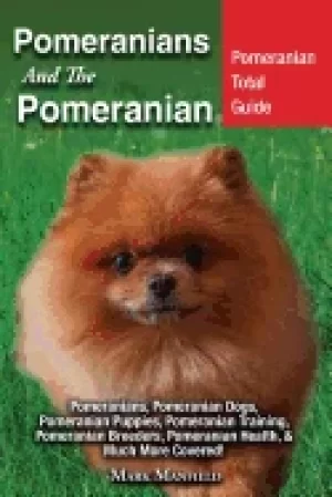 Image of pomeranians and the pomeranian pomeranian total guide pomeranians pomerania
