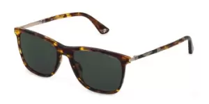 image of Police Sunglasses SPLD45 ORIGINS 46 08XW