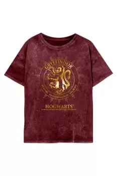 Image of Gryffindor Constellation T-Shirt