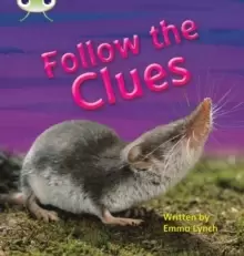 Image of Bug Club Phonics Non-fiction Set 18 Follow the Clues