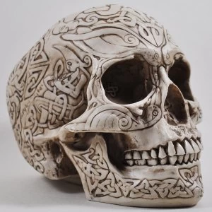 Image of Celtic Skull Bone 15cm