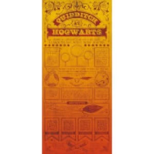 Image of Harry Potter Premium Limited Edition Art Print : Quidditch Rules