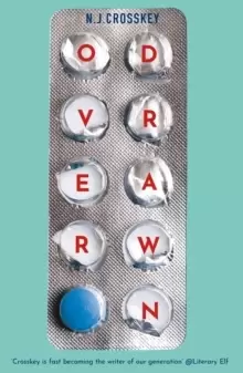 Image of Overdrawn : A Guardian Book of the Month