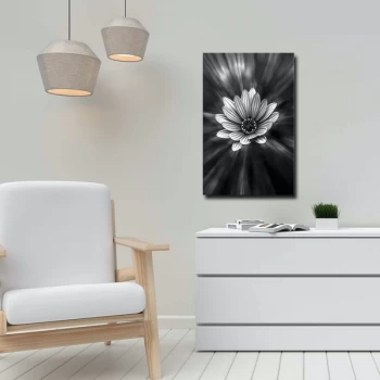 Image of 45702019C - 045 Multicolor Decorative Canvas Painting