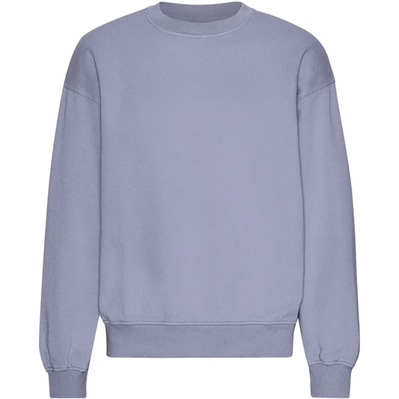 Image of Colorful Standard Oversized crewneck sweatshirt Colorful Standard Organic Purple Jade Violet Unisex S