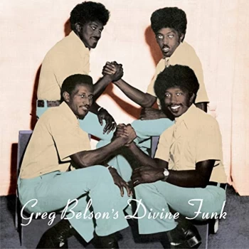 Image of Various Artists - Greg Belsons Divine Funk Vinyl