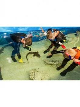 image of Virgin Experience Days Junior Snorkel With Baby Sharks At Skegness Aquarium