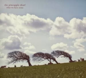 Image of What We Have Sown by The Pineapple Thief Vinyl Album