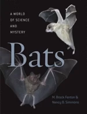 Image of bats a world of science and mystery