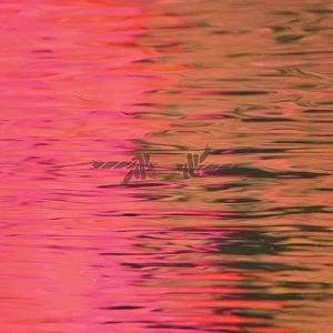 Image of Dead Reflection by Silverstein CD Album