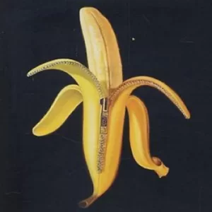 Image of Welcome to the Monkey House CD Album