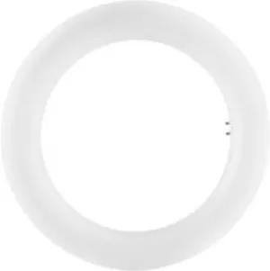 Image of OSRAM 4058075135444 LED (monochrome) EEC A+ (A++ - E) G10q Ring 12 W Cool white (Ø x L) 30 mm x 205mm