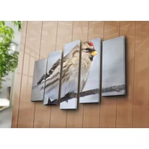 Image of 5NATPAT-14 Multicolor Decorative Canvas Painting (5 Pieces)