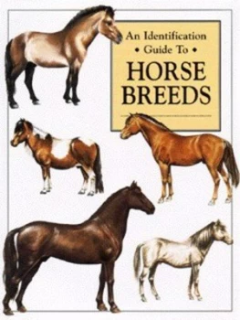 Image of An Identification Guide to Horse Breeds Hardback