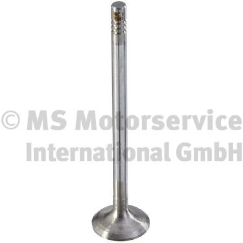 Image of Exhaust valve TRW Engine Component 189001