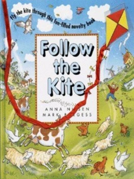 Image of Follow the Kite by Anna Nilsen and Mark Burgess Hardback