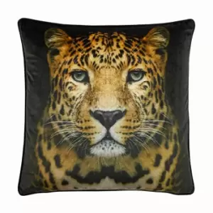 image of Portrait Cheetah Cushion Black