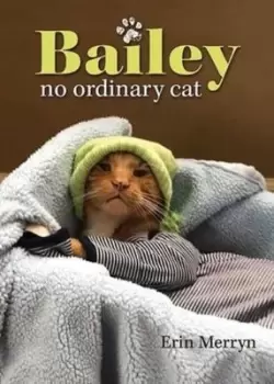 Image of Bailey, no ordinary cat - Erin Merryn - Hardback - Used