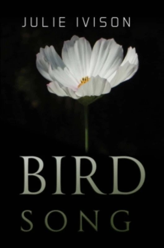 Image of Bird Song Paperback / softback