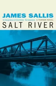 Image of Salt river by James Sallis