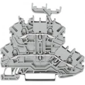 Image of Dualport continuity 3.50 mm Pull spring Configuration L L