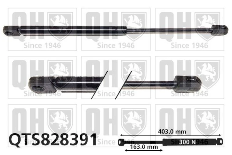 Image of QUINTON HAZELL Tailgate strut QUINTON HAZELL QTS828391
