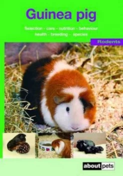Image of The Guinea Pig Paperback