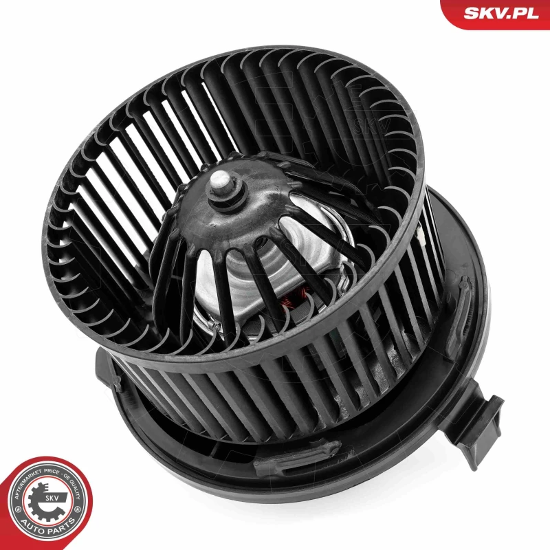 Image of ESEN SKV Blower motor ESEN SKV 68SKV185