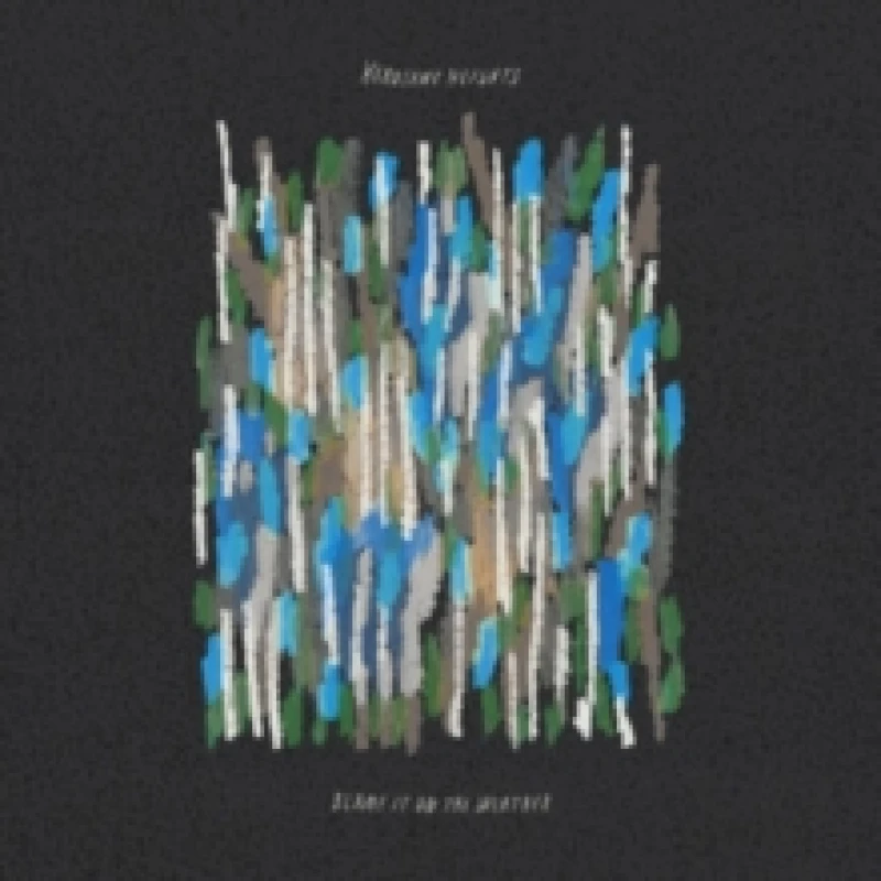 Image of Blame it on the weather Vinyl
