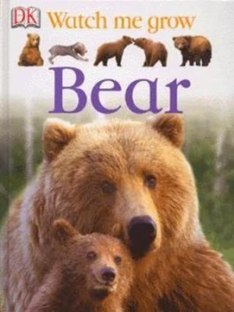Image of Bear by Lisa Magloff Hardback