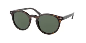 Image of Polo Ralph Lauren Sunglasses PH4151 567371