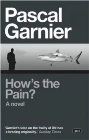 Image of Hows the pain? by Pascal Garnier