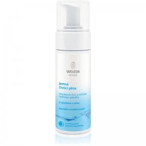 Image of Weleda Cleaning Care Gentle Cleansing Foam 150ml
