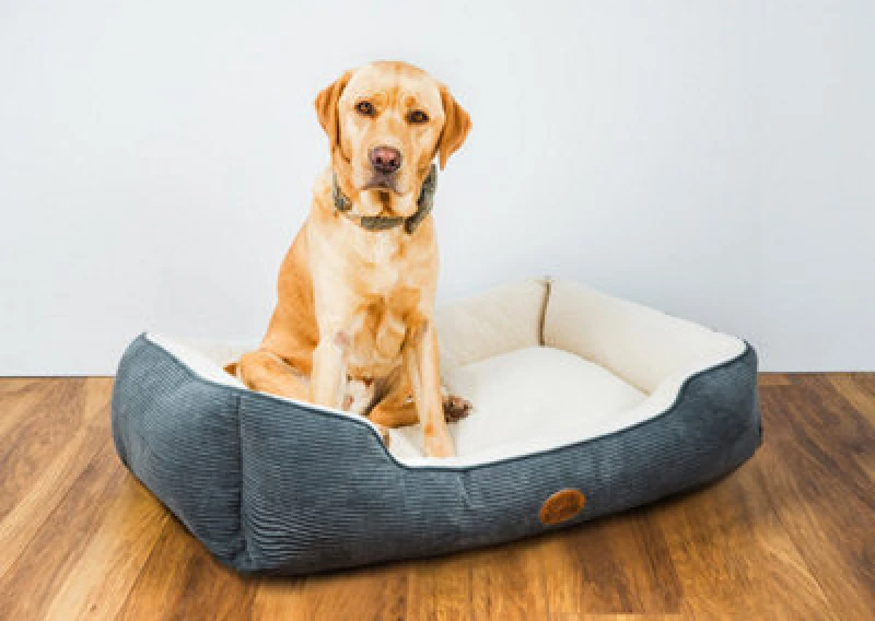Image of Snug & Cosy Pets Snug And Cosy Pets Edinburgh Herringbone Dog Bed Rectangle Small 64Cm