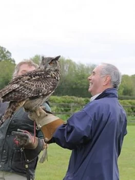 Image of Virgin Experience Days Falconry Taster For Two