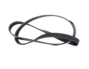 Image of RIDEX V-ribbed belt VW,AUDI,MERCEDES-BENZ 305P0039 058903137B,058903137C,058903137E 06B903137,06B903137E,166453,0159974792,A0159974792,MD331884