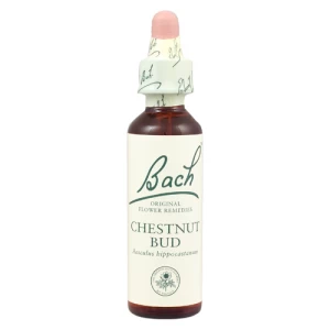 Image of Bach Flower Remedy Chestnut Bud 20ml Drops
