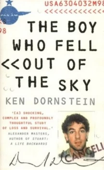 Image of The Boy Who Fell Out of the Sky by Ken Dornstein Hardback