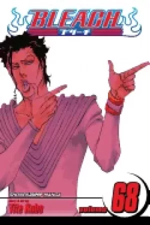 Image of bleach vol 68