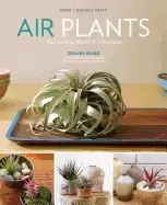 Image of air plants the curious world of tillandsias