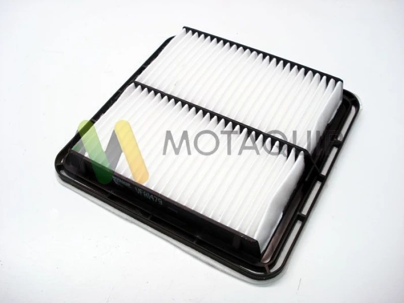 Image of MOTAQUIP Air filter MOTAQUIP LVFA1479