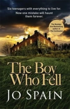 Image of The boy who fell by Jo Spain
