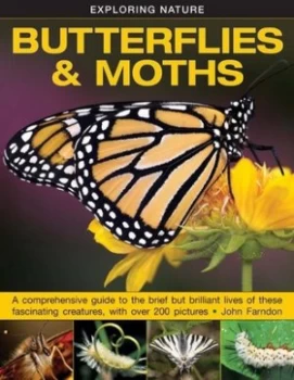 Image of Butterflies and Moths by John Farndon Hardback