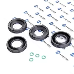 Image of DR.MOTOR AUTOMOTIVE Gaskets DRM0195S Seal Kit, injector nozzle FORD,FIAT,PEUGEOT,Fiesta Mk6 Schragheck (JA8, JR8)