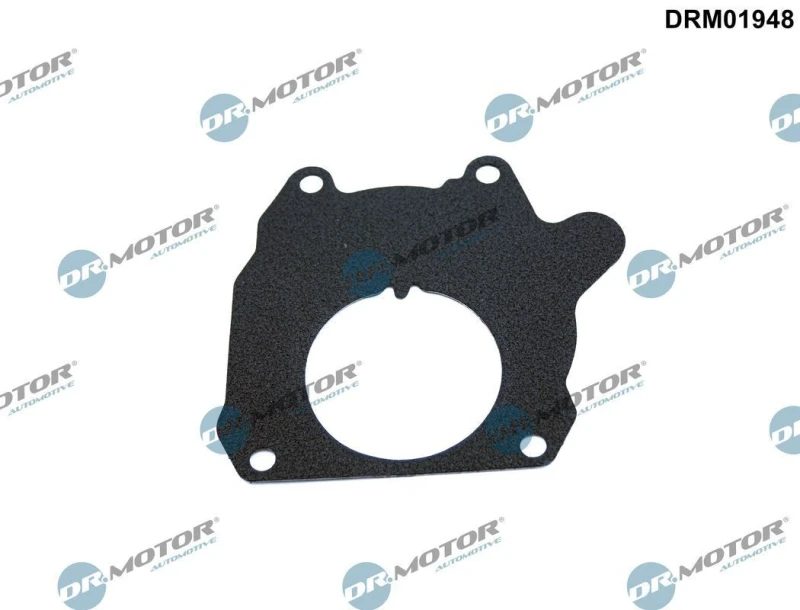 Image of DR.MOTOR AUTOMOTIVE Gasket, vacuum pump DR.MOTOR AUTOMOTIVE DRM01948