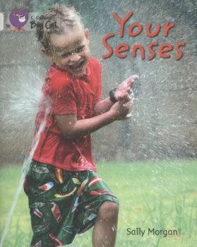 Image of Your Senses by Sally Morgan Paperback