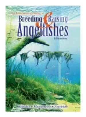 Image of breeding and raising angelfishes